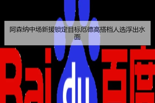 阿森纳中场新援锁定目标厄德高搭档人选浮出水面