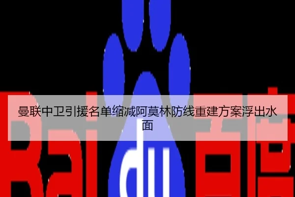 曼联中卫引援名单缩减阿莫林防线重建方案浮出水面